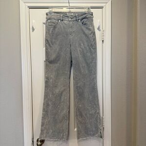 We The Free People Curvy Velvet Pants Flare Women’s 29 Light Grey Boho Western